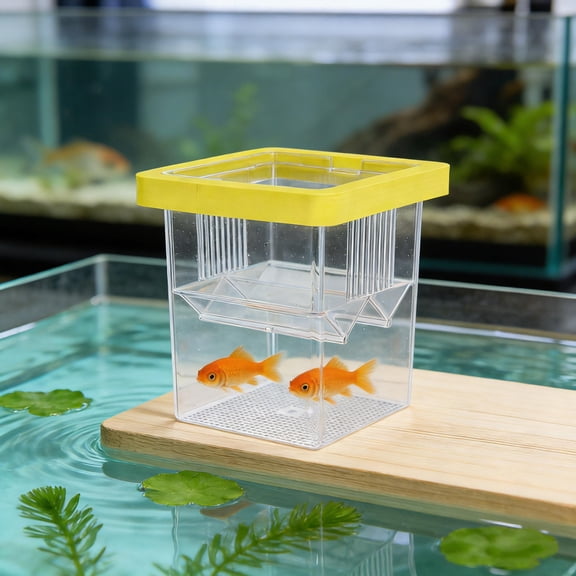 LOLIPPYY Aquarium Fish Isolation Box Yellow Acrylic with Removable Divider and Floating Design