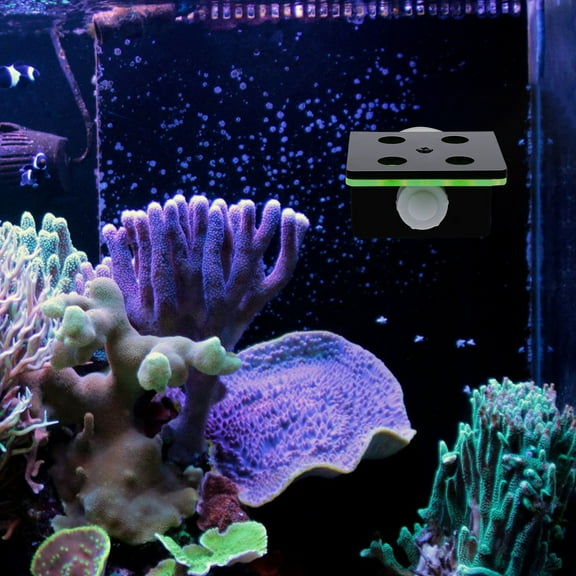 LOLIPPYY Aquarium Lid Double Layer Fluorescent Green Coral Support Acrylic 1Set