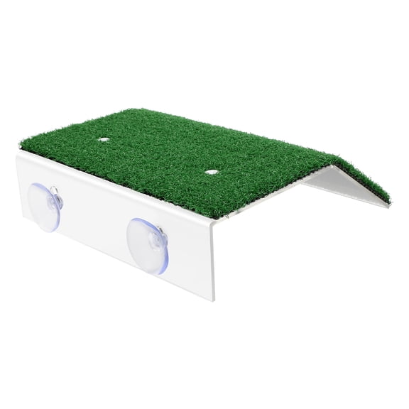 LOLIPPYY Aquarium Turtle Platform Tank in Green PP Material with Climbing Ladder and Nonslip Design