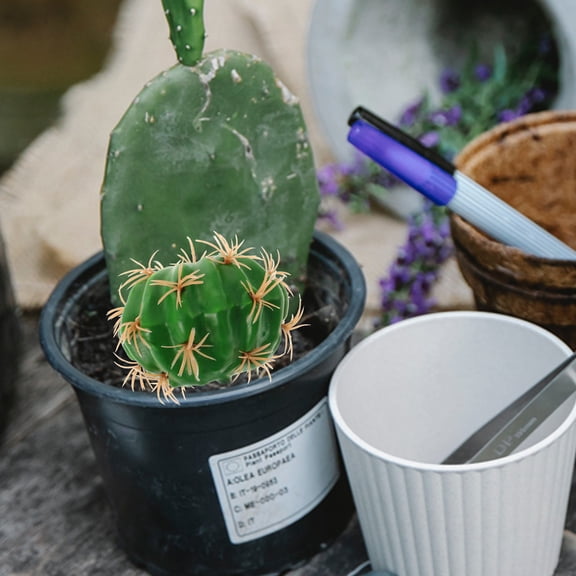 LOLIPPYY Artificial Tropical Plants Green Simulation Cactus Plant for Desktop Decoration