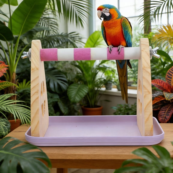 LOLIPPYY Assorted Color Parrot Perch Platform with Removable Tray for Indoor Bird Training and Rest