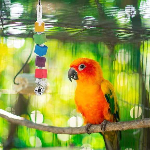 LOLIPPYY Beak Grinder for Birds Wood Chewing Blocks for Parrots 1Pcs