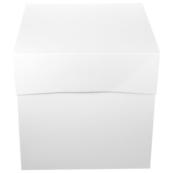 LOLIPPYY Cake Carrier Cake Packaging Boxes White Paper Storage for Desserts 1Set