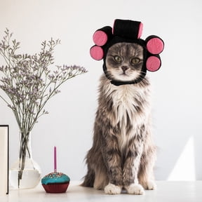 LOLIPPYY Cat Cap Curly Hair Design Pet Costume for Pets 1 Set