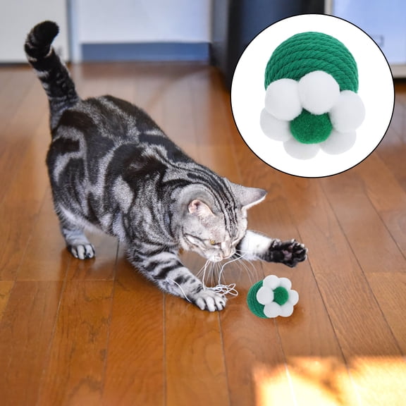 LOLIPPYY Cat Chewing Balls Green Round 1Set For Kittens With Interactive Features