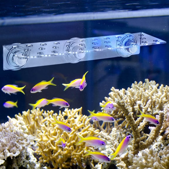 LOLIPPYY Clear Coral Frag Rack with Strong Suction Cups for Fish Tank Coral Growth