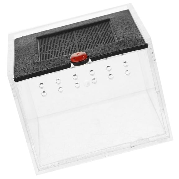 LOLIPPYY Clear Viewing Acrylic Terrarium Container for Reptile Habitat and Feeding