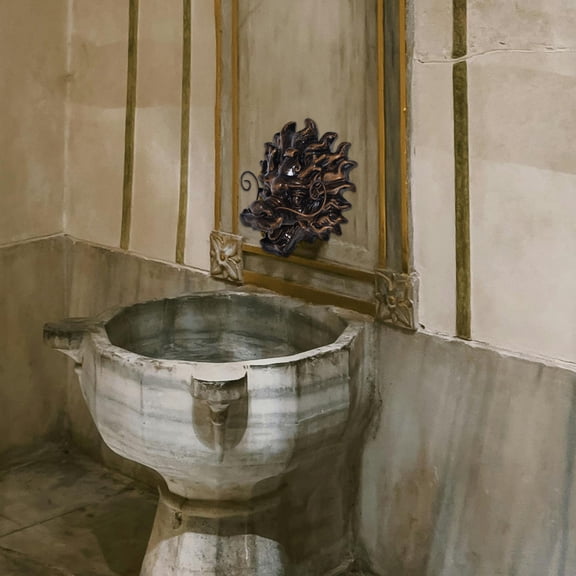 LOLIPPYY Coffee Color Resin Dragon Head Wall Fountain Outdoor Water Outlet for Garden Decor