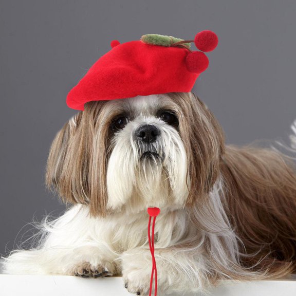 LOLIPPYY Comfortable Beret Hat with Cherry Design for Small Pets Suitable for Cats and Dogs