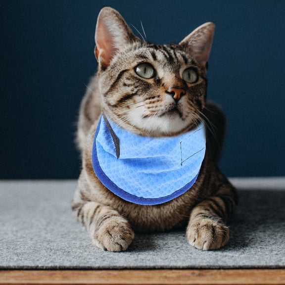 LOLIPPYY Comfortable Blue Pet Cooling Collar with Heat Resistant Material for Outdoor Use