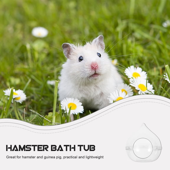 LOLIPPYY Transparent Acrylic Hamster Sand Bath Container and Bathing Tub for Small Pets