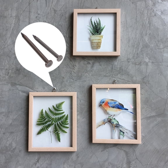 LOLIPPYY Stainless Steel Concrete Nails Black Cement Fixing Strong Straight Easy Insert Construction Fastening