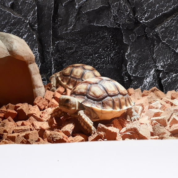 LOLIPPYY Convenient Black Reptile Tank Background with Lifelike Rock Pattern for Aquarium and Turtle Tank