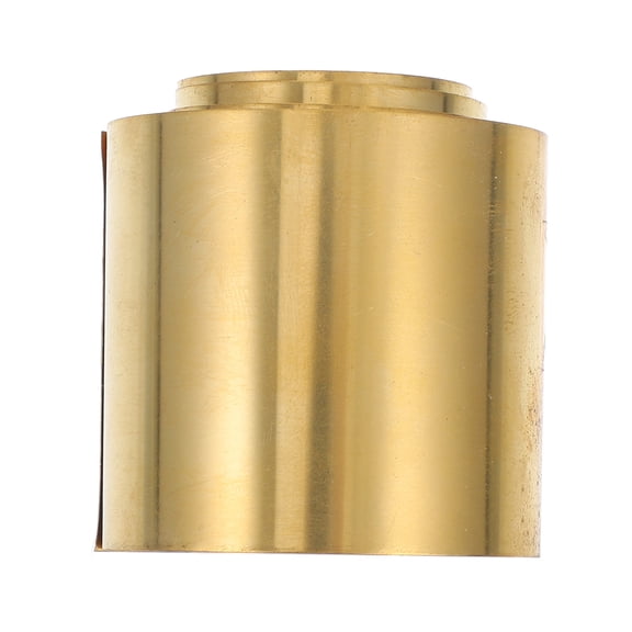 LOLIPPYY Copper Zinc Strips for Science Experiments Fruit Battery Creation