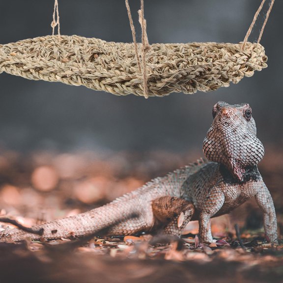 LOLIPPYY Creative Hanging Reptile Hammock Bed for Small Reptiles Durable Light Brown Mesh