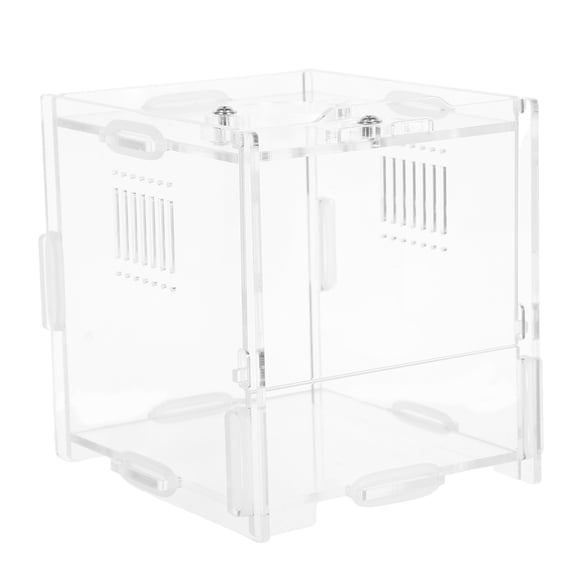 LOLIPPYY Crystal Clear Acrylic Jumping Spider Enclosure for Monitoring and Easy Maintenance