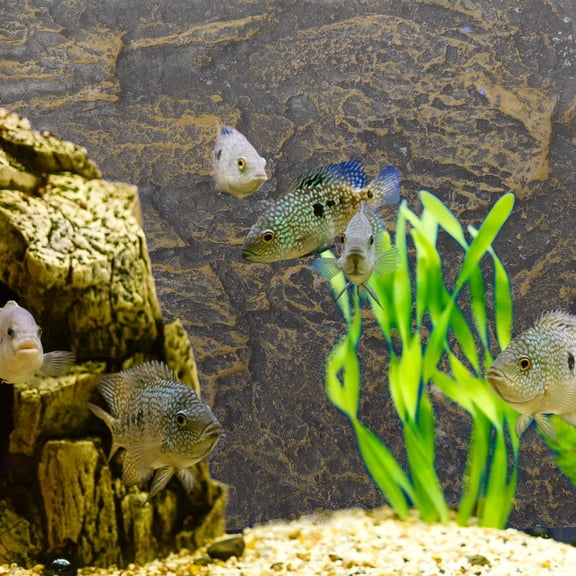 LOLIPPYY Decorative Dark Brown Reptile Tank Background with 3D Texture and Climbing Surface