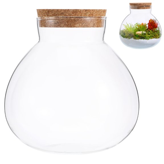 LOLIPPYY Decorative Glass Landscape Bottle for Microplants and DIY Home Display