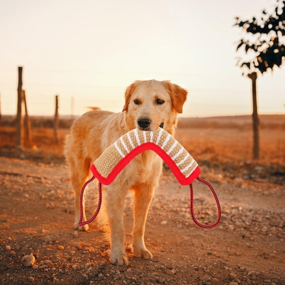 LOLIPPYY Dog Chew Toy Hemp for Teeth Grinding 1Pcs