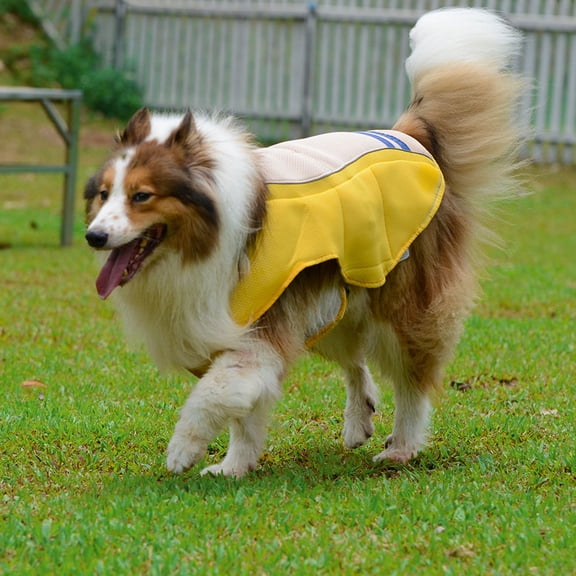 LOLIPPYY Dog Cooling Jacket to Prevent Sunstroke for Dogs, 1 Set