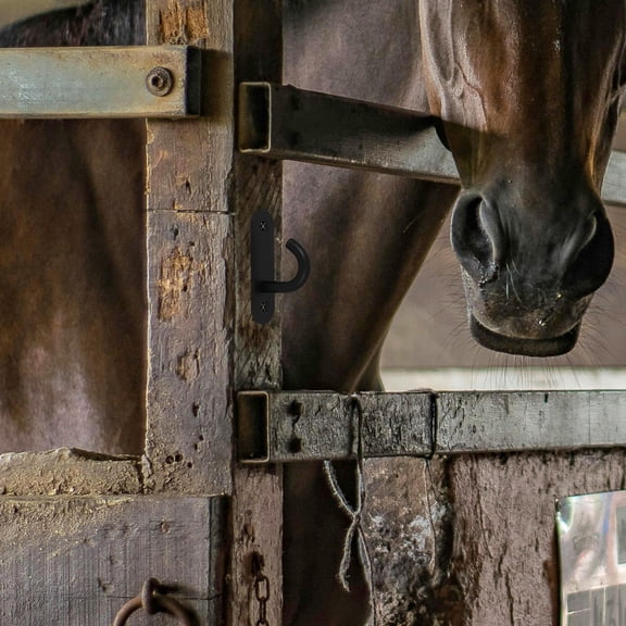 LOLIPPYY Black Stainless Steel Water Bucket Hook, and Versatile for Home Hanging Needs and Various Uses