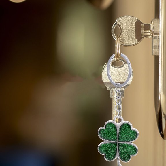 LOLIPPYY Durable Themed Keychain with Lucky Four Leaf Design for Keys