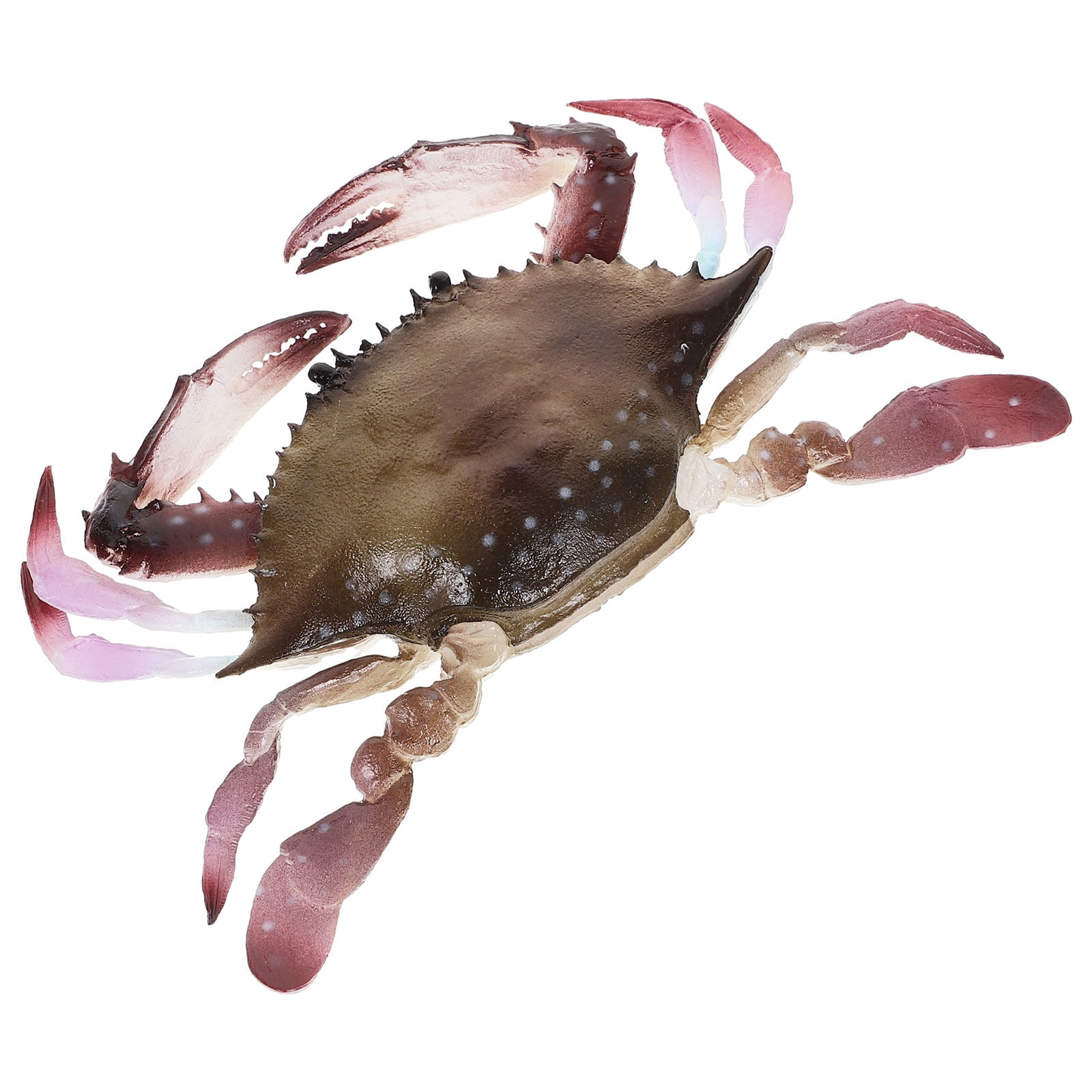 LOLIPPYY Educational Tool Crab Toys for Swimming Pool Decoration PVC Multi 1Set