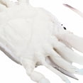 thumbnail image 1 of LOLIPPYY Educational Tool Crab Toys for Swimming Pool Decoration PVC Multi 1Set, 1 of 8