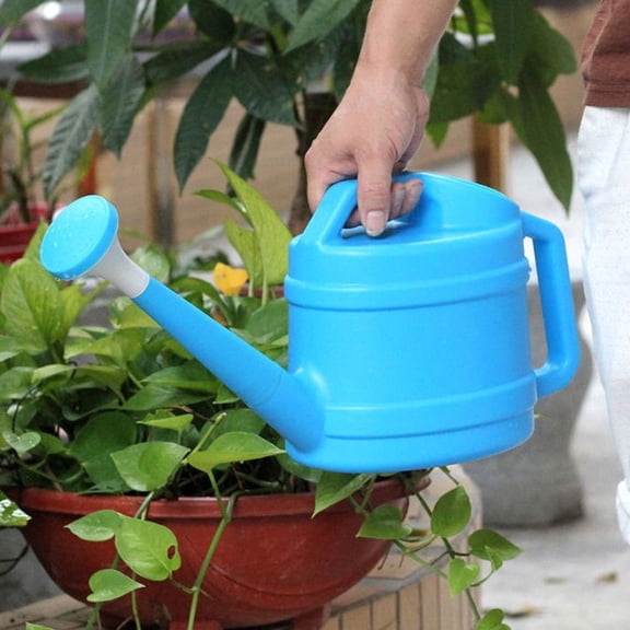 LOLIPPYY Ergonomic Handle Blue Watering Can with Sprinkler Head for Garden and Indoor Use