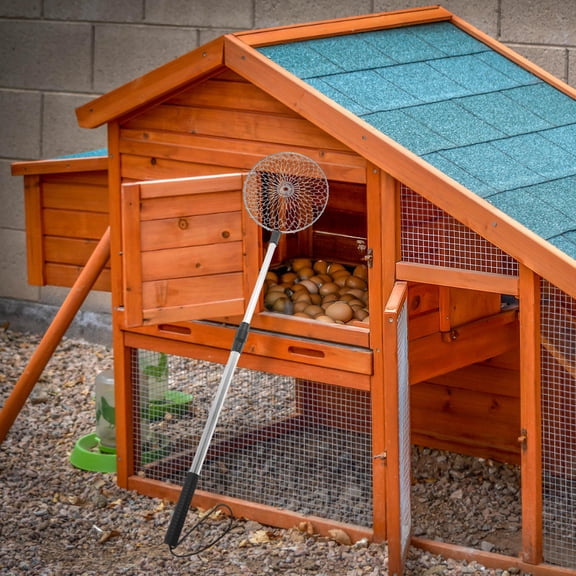 LOLIPPYY Extendable Chicken Egg Picker for Coop with Durable Plated Silver Wire Basket Design