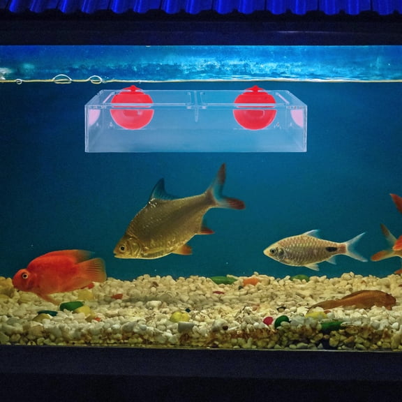LOLIPPYY Fish Tank Feeder High Transparency Wide Compatibility Antiscatter