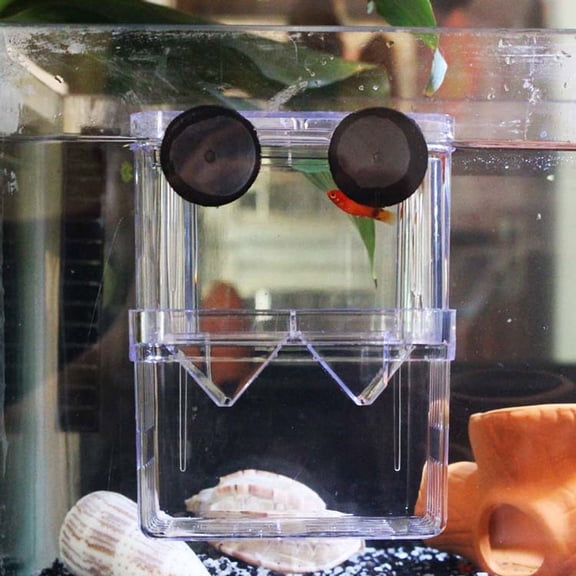 LOLIPPYY Fish Hatching Box Acrylic Square Transparent for Aggressive Fish 1Pack