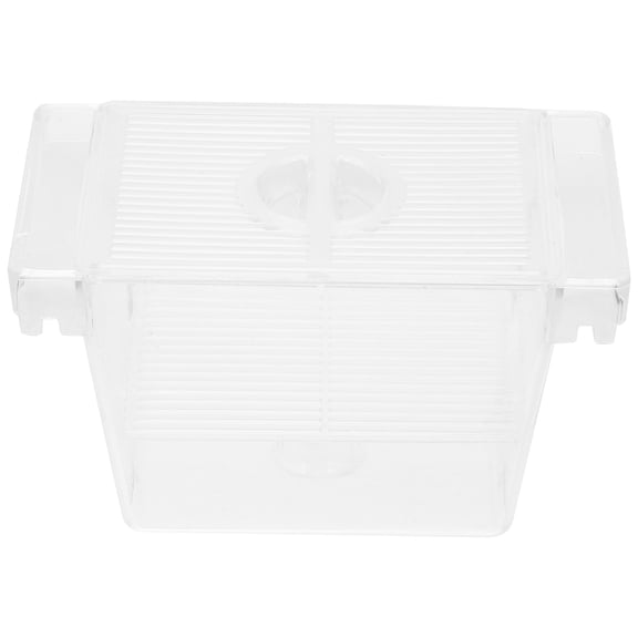 LOLIPPYY Fish Isolation Box Large Transparent Plastic for Betta Fish 1Pack