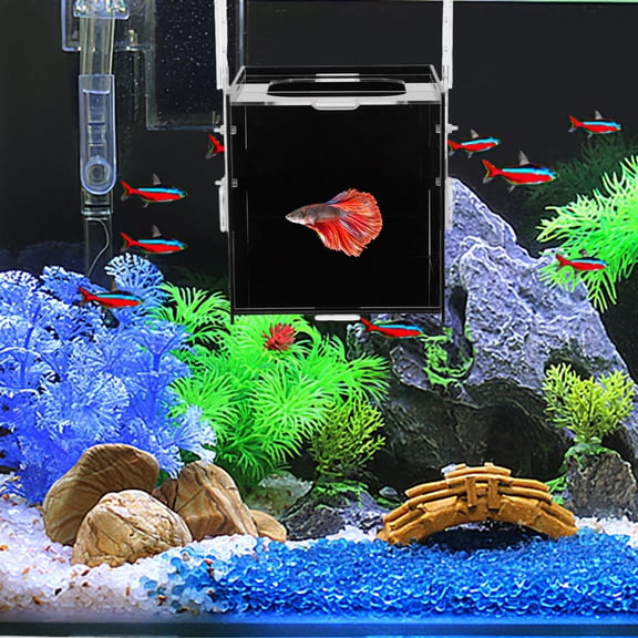 LOLIPPYY Fish Tank Breeding Box Acrylic Black Easy Assembly Isolation Incubator for Shrimp Fry