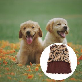 LOLIPPYY Leopard Print Dog Jacket with Plush Faux Trim and Convenient Front Closure for Pets