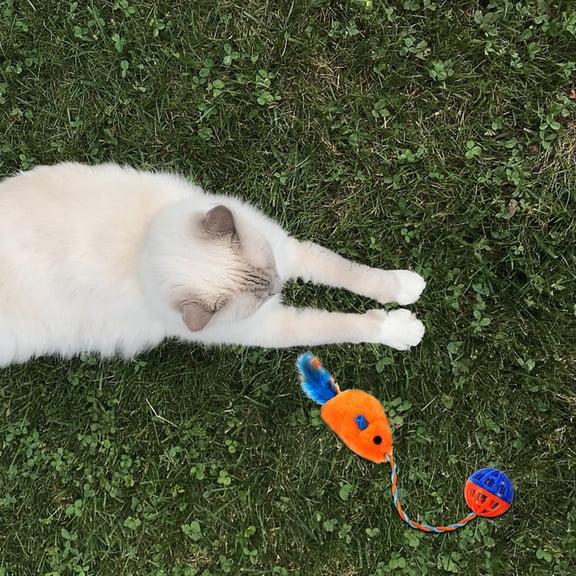 LOLIPPYY Funny Cat Toys Assorted Color Plastic Bell Toy For Cat Owners 1Pack