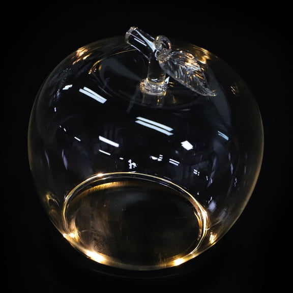 LOLIPPYY Glass Cloche with Base Bell Jar Display Dome for Outdoor Scene Home Decor 1Set