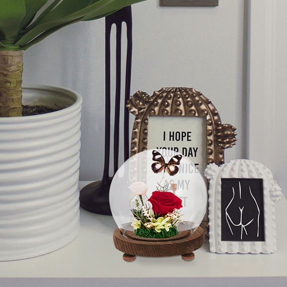 LOLIPPYY Glass Dome Terrarium Elegant Design Ball Glass Cover With Wood Base 1Set