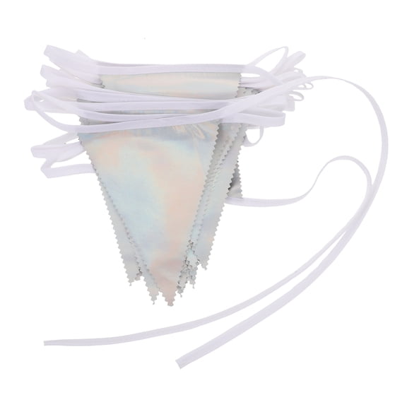 LOLIPPYY Iridescent Glitter Triangle Bunting Banner for Party Decoration, Wall, Window, Mantel, Festive Event Accessory