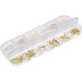 thumbnail image 1 of LOLIPPYY Golden Alloy Manicure Decal for DIY Nail Art with Ocean Animal Motifs and Storage Box, 1 of 5