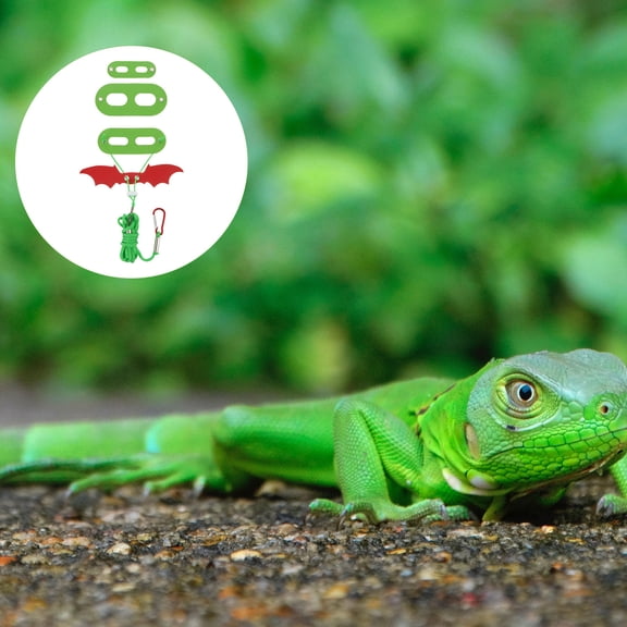 LOLIPPYY Green Lizard Leash Set with Stylish Harness Wings for Outdoor Pet Exercise