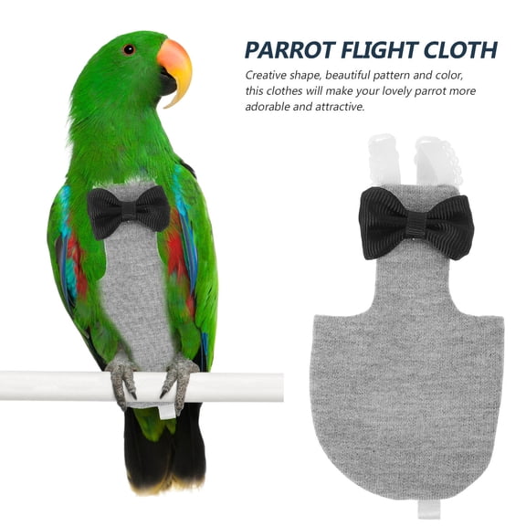 LOLIPPYY Stylish Grey Parrot Diaper - Comfortable, Reusable, and Design