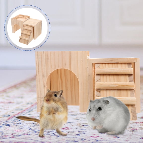 LOLIPPYY Hamster Pet Toy with Exercise Feature 1Pack