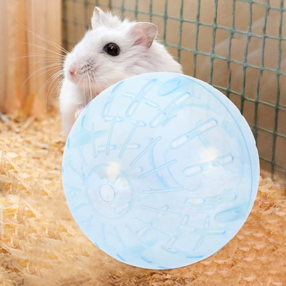 LOLIPPYY Hamster Running Exercise Hamster Running Ball Plastic Sky-blue 1Set for Exercise in Pet Store
