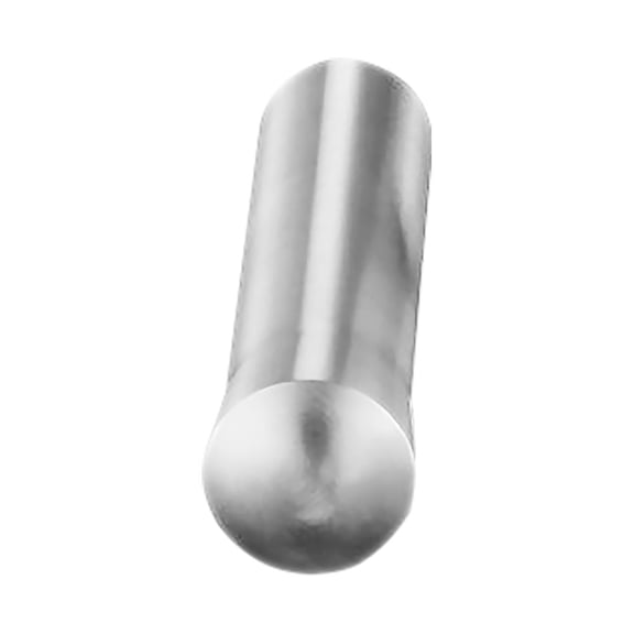 LOLIPPYY Hand Pressed Garlic Masher Stainless Steel Garlic Crusher for Home Cooks 1Pcs