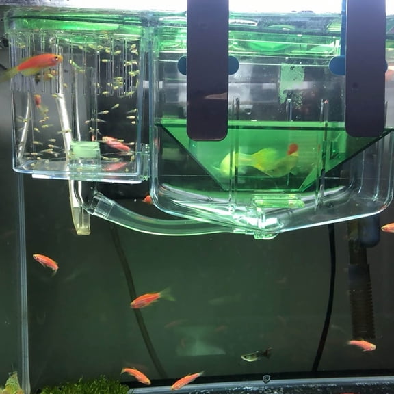 LOLIPPYY Green Aquarium Breeding with Transparent View and Isolated Compartments, Perfect for Home Fish Breeding and Aquatic Pets