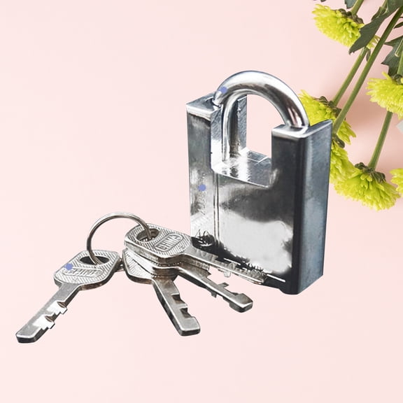 LOLIPPYY House Key Lock Box with Steel Body and Anti Prying Lock for Safety Use