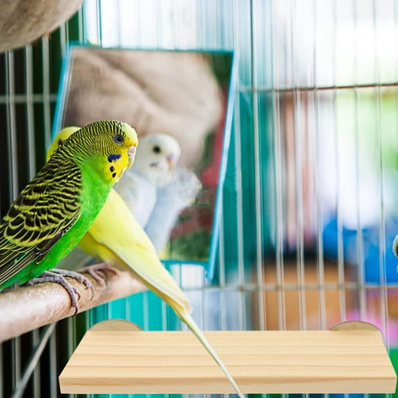 LOLIPPYY Large Wooden Parrot Stand for Cockatiels and Other Birds, 1 Pack Bird Perch Play Gym