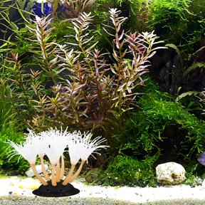 LOLIPPYY Lifelike Orange Artificial Sea Coral Sculpture for Aquarium Fish Tank Decoration