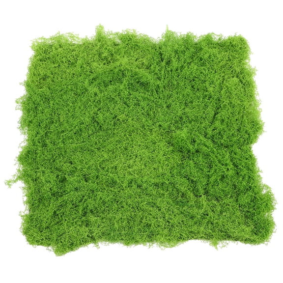 LOLIPPYY Light Green Artificial Moss Turf Epe Foam for Realistic Micro Landscape Display